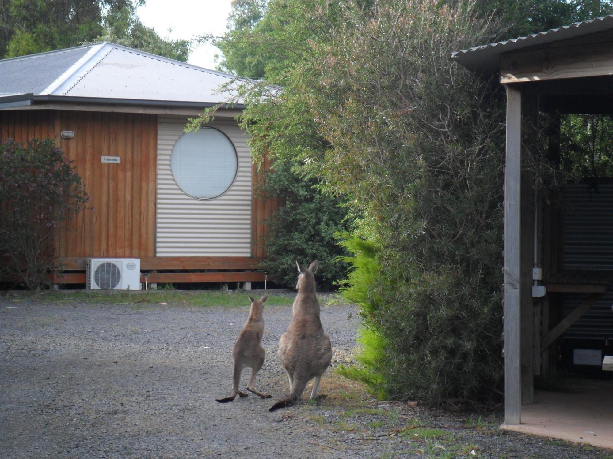 Grampians Chalets Halls Gap Ngoại thất bức ảnh