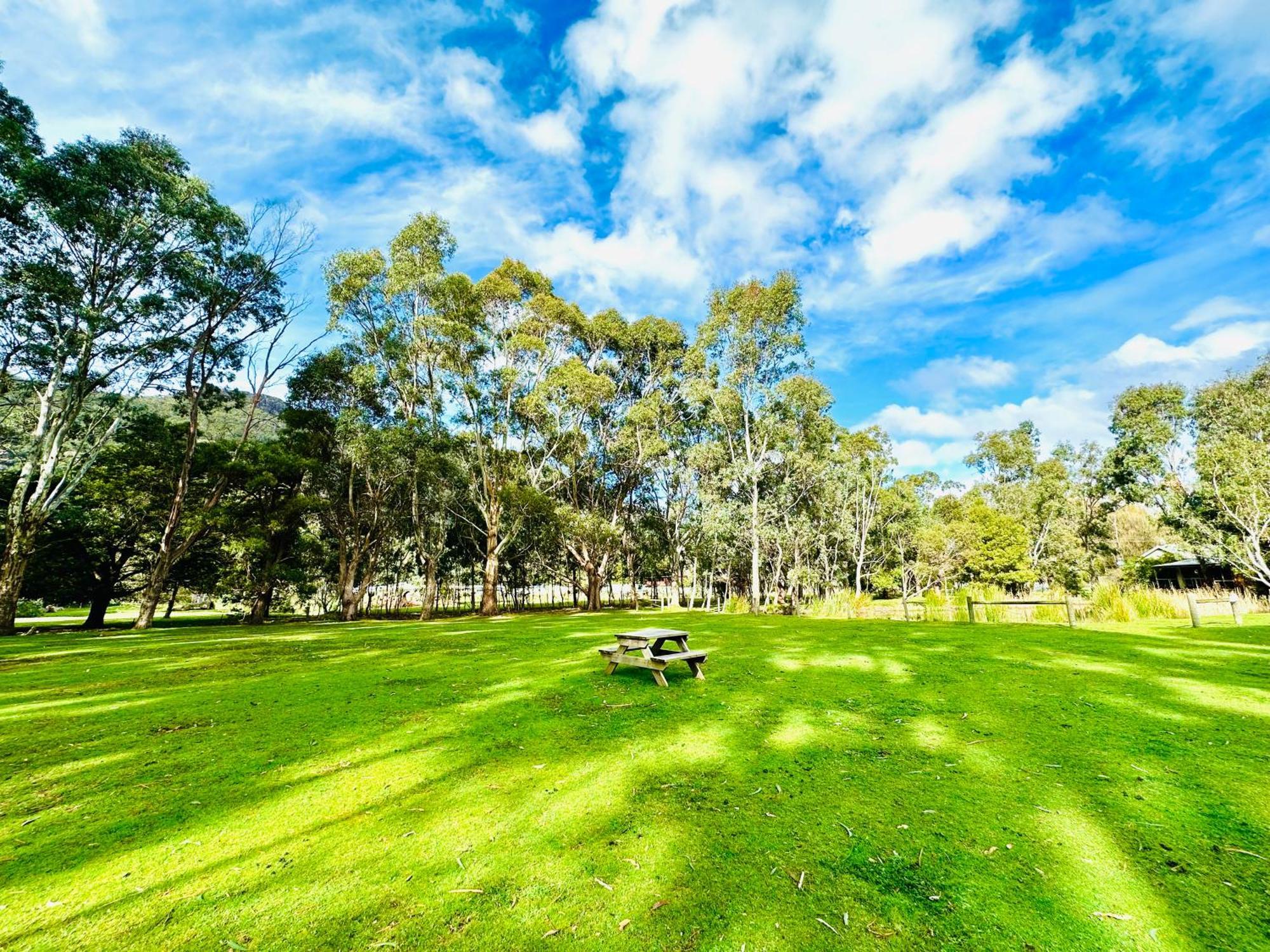 Grampians Chalets Halls Gap Ngoại thất bức ảnh