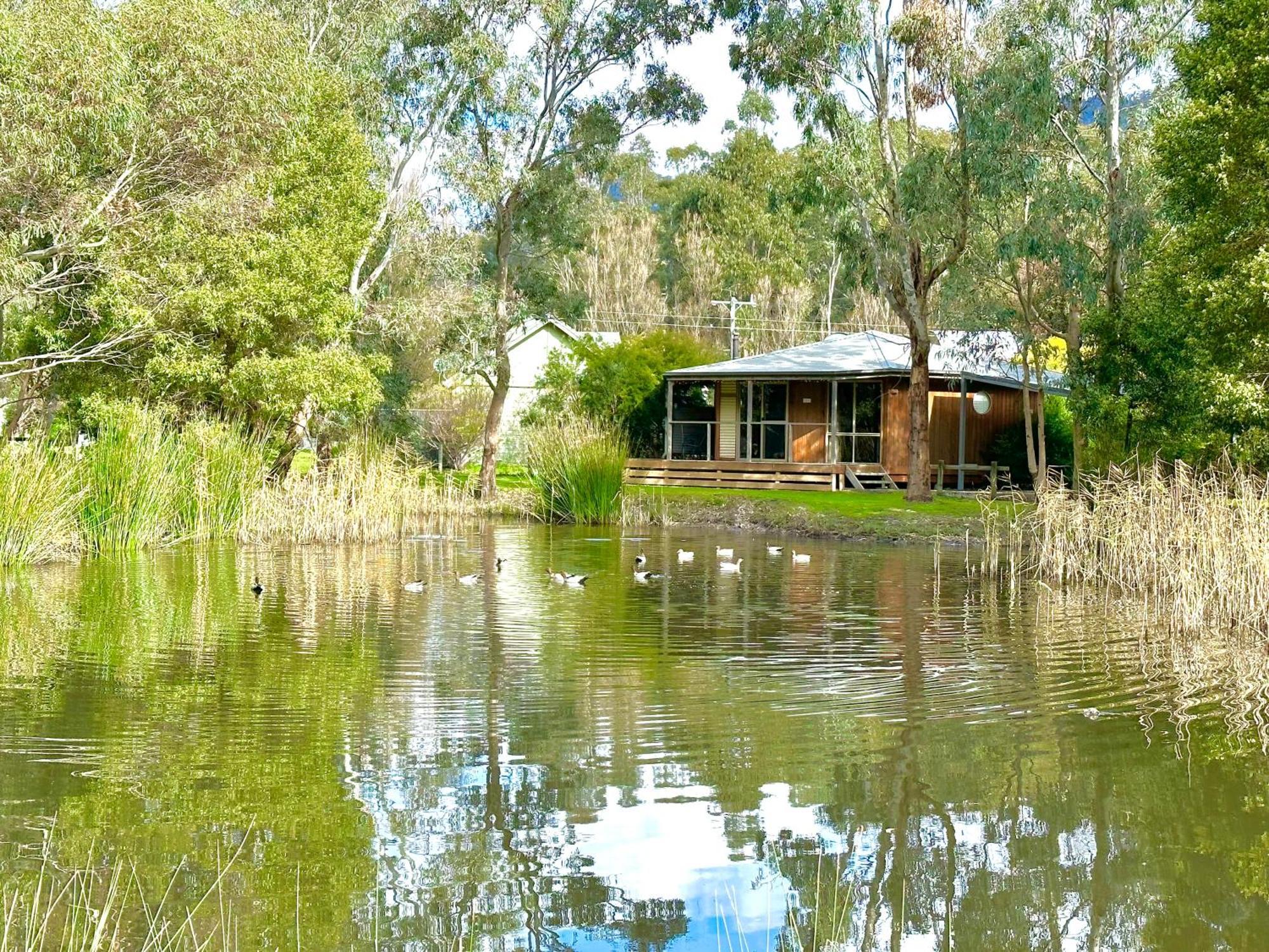 Grampians Chalets Halls Gap Ngoại thất bức ảnh