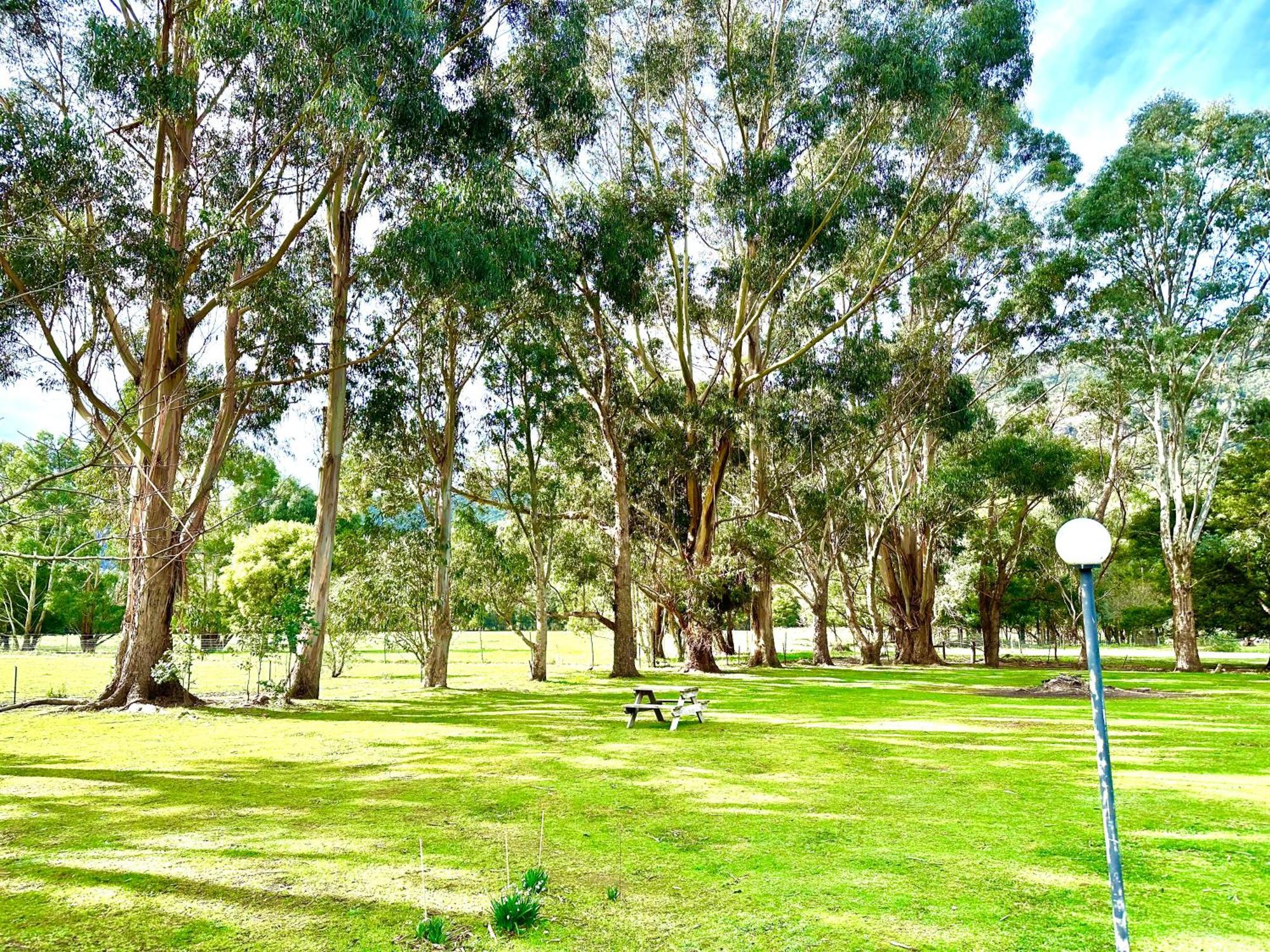 Grampians Chalets Halls Gap Ngoại thất bức ảnh